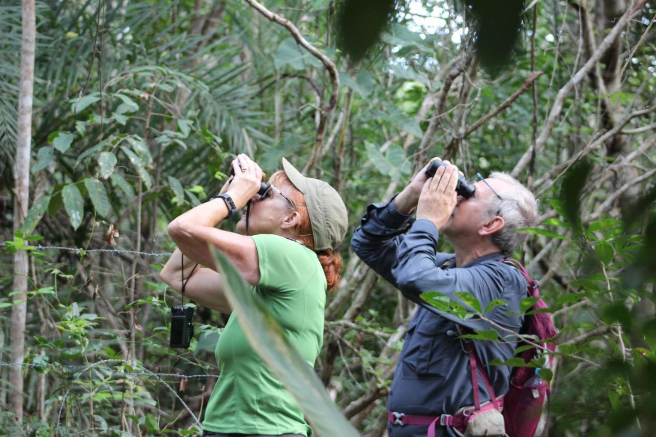 Arua Observacao De Vida Silvestre Praia do Forte Dış mekan fotoğraf