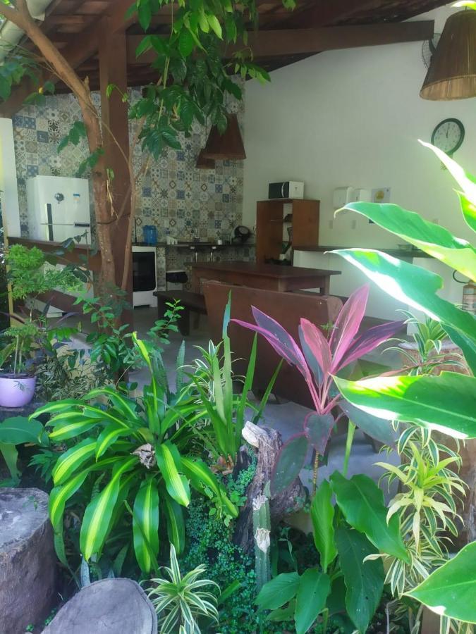 Arua Observacao De Vida Silvestre Praia do Forte Dış mekan fotoğraf