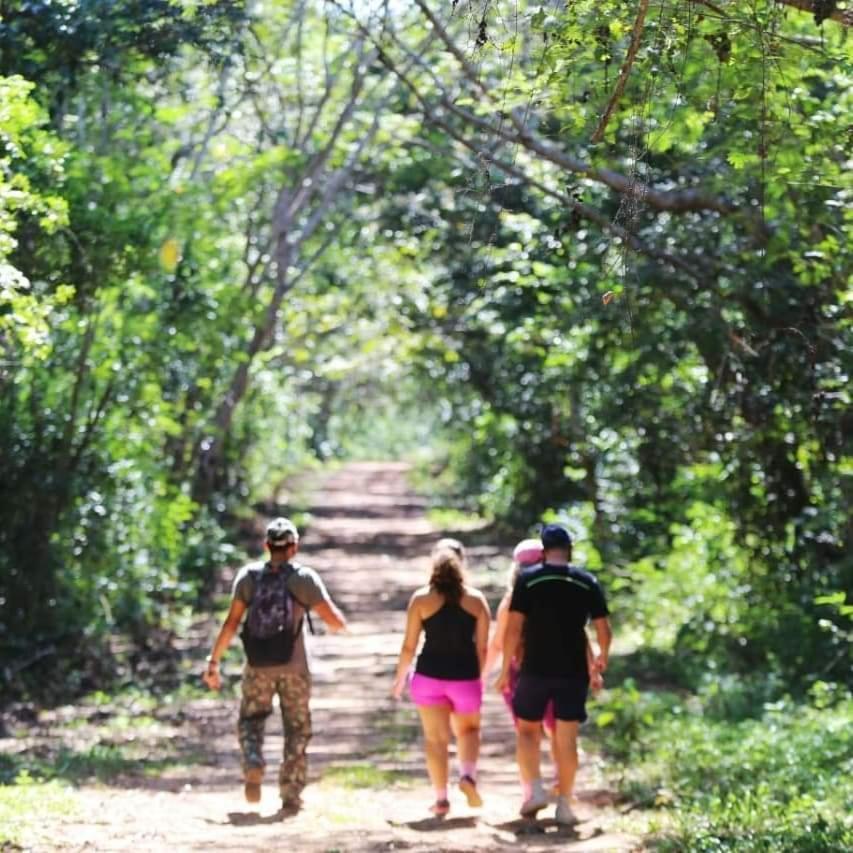 Arua Observacao De Vida Silvestre Praia do Forte Dış mekan fotoğraf