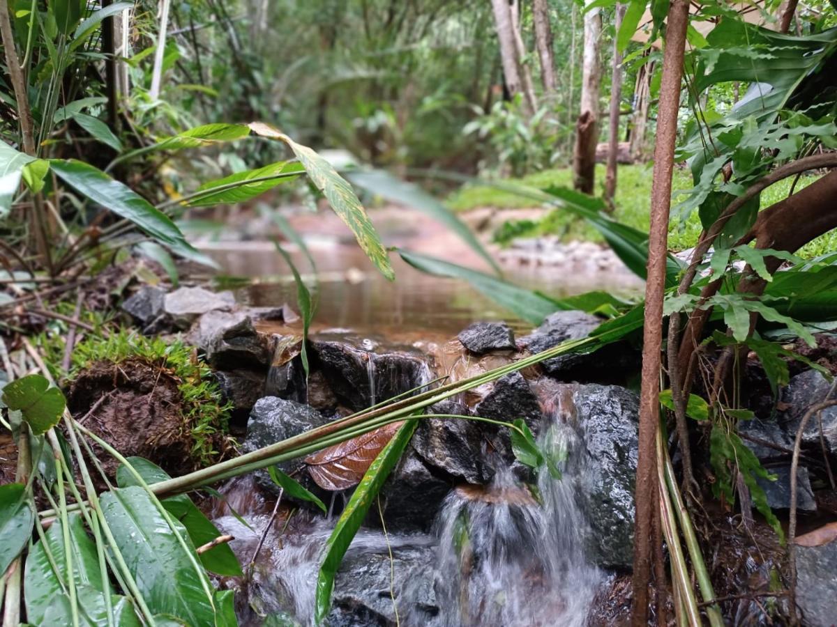 Arua Observacao De Vida Silvestre Praia do Forte Dış mekan fotoğraf